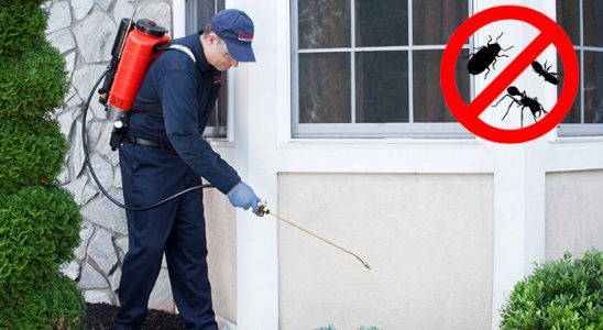 Samsun Gümüşkurt İlaçlama böcek ilaçlama ve haşere kontrolü — ilaclama-tr.com
